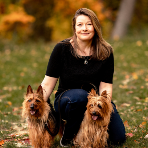 Veterinarian In Milford, MI 48380 | Veterinary Care Services Milford