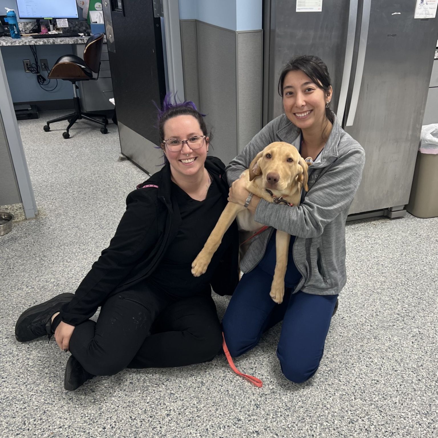 Two women smile while posing with a dog in a modern office setting